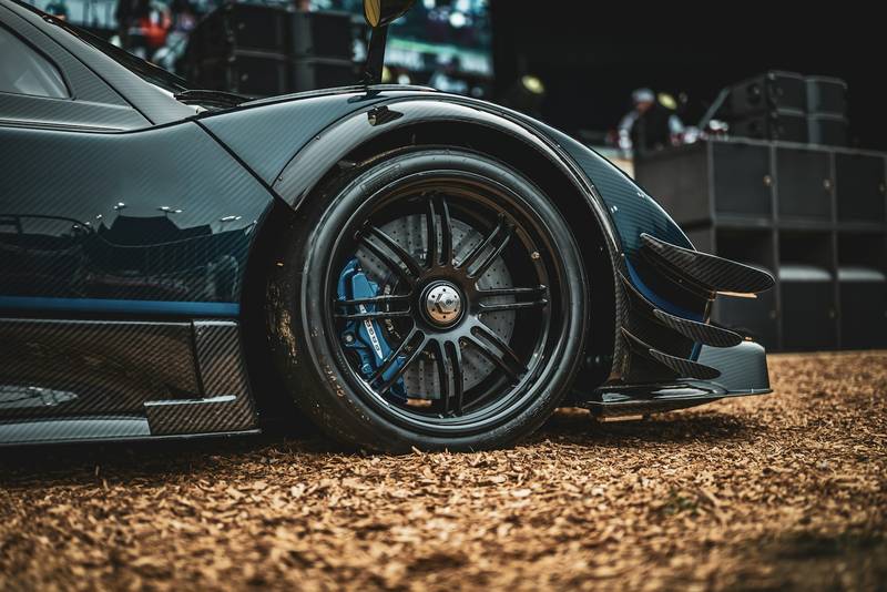 T0102012,With a shattered jaw this puppy still begged for help 💔 #puppyrescue #animalabuse - Image 4