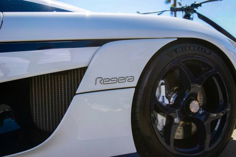 T0102001,From fear and shaking paws to finally calling someone family 💔 #animalrescue #secondchance
 - Image 3