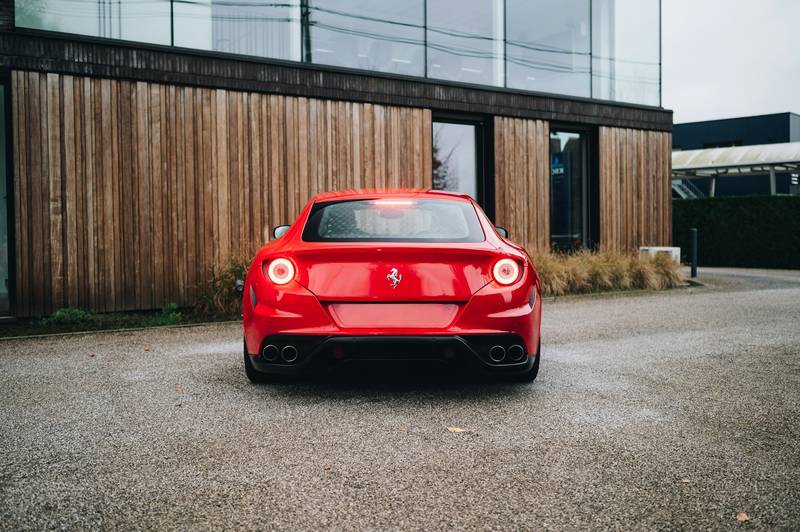 T0102001,From fear and shaking paws to finally calling someone family 💔 #animalrescue #secondchance
 - Image 4