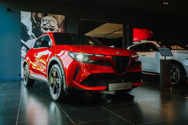 T0102002,A lonely alpaca wandered until one farmer chose to care 💔 #animalrescue #kindness
 - Image 3