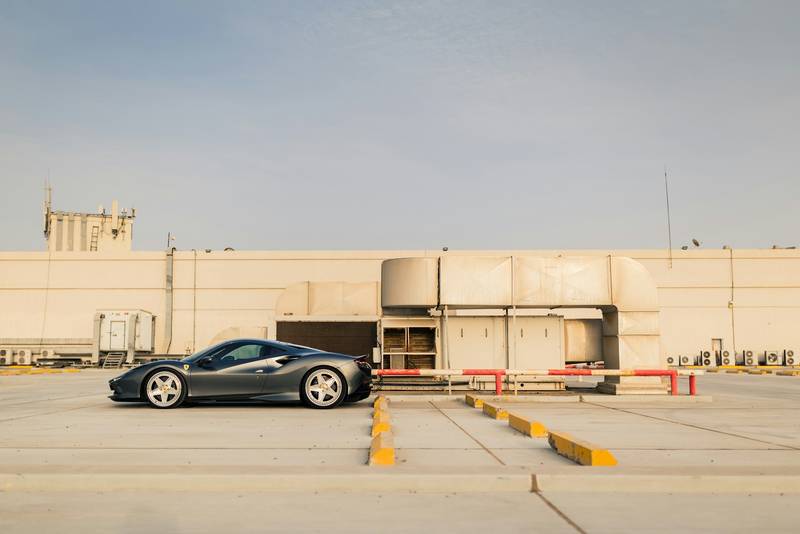 T0102004,Behind this rescue were tears fear and a life almost lost 💔 #rescueanimals #adoptdontshop
 - Image 2