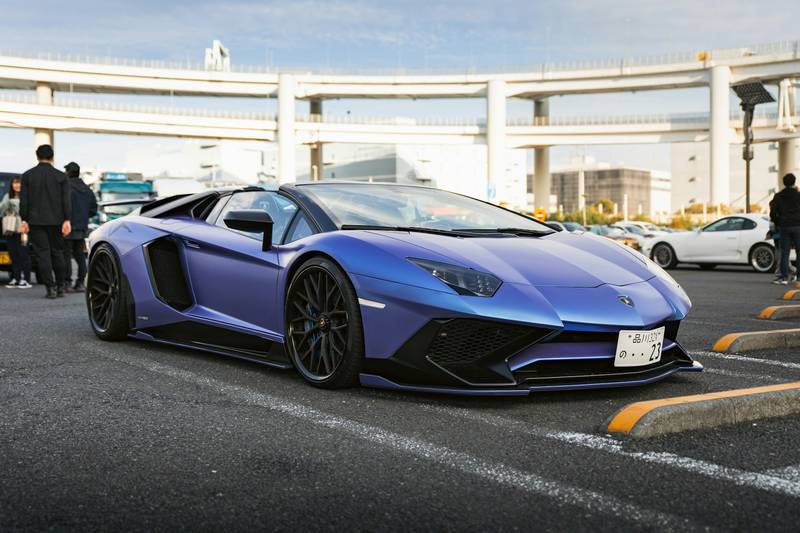 T0102004,Behind this rescue were tears fear and a life almost lost 💔 #rescueanimals #adoptdontshop
 - Image 3