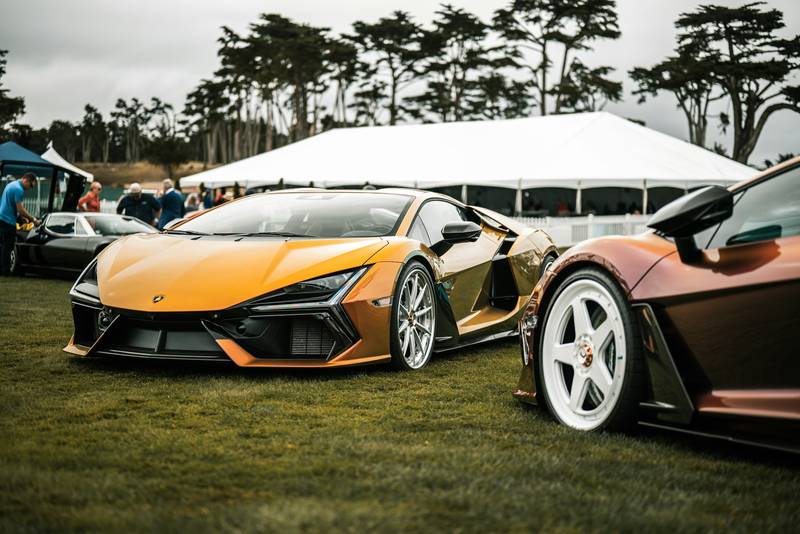 T0102004,Behind this rescue were tears fear and a life almost lost 💔 #rescueanimals #adoptdontshop
 - Image 4