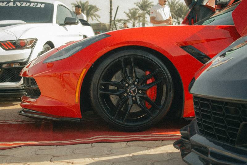 T0102005,This coyote never imagined a human would become family 💔 #wildliferescue #animalstory
 - Image 4