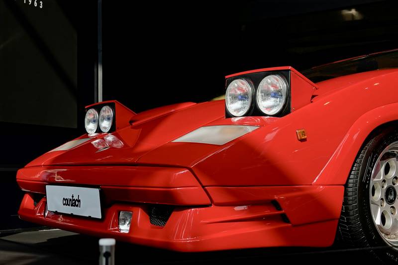 T0102006,Trapped in a trash can this raccoon waited in terror 💔 #wildliferescue #animalcare
 - Image 3