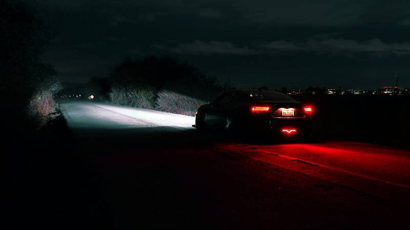 T0102009,Covered in snow and shivering this dog was fading fast 💔 #dogrescue #animalstory
 - Image 2