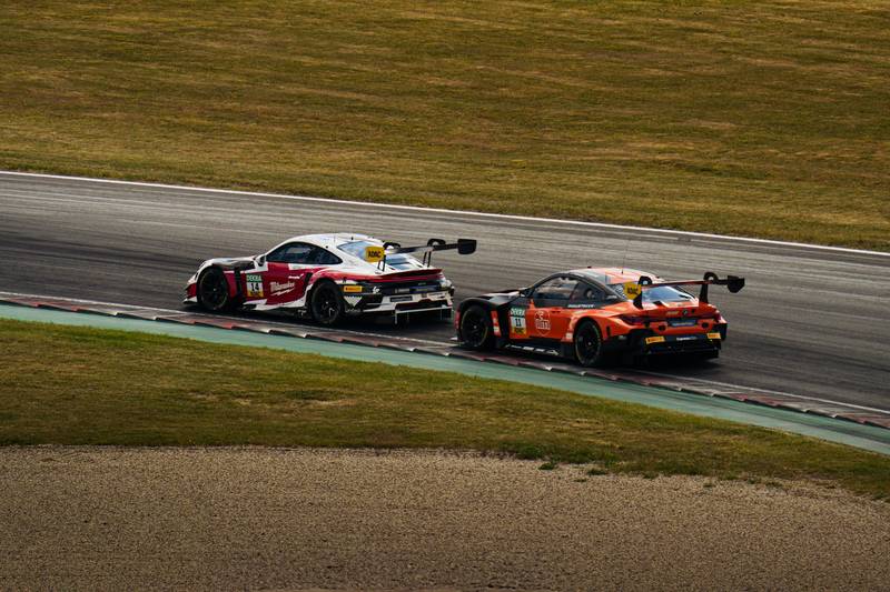 T0102010,Fear ruled his eyes because humans had hurt him before 💔 #rescuedog #animalabuse
 - Image 2