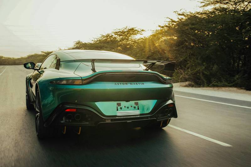 T0102012,With a shattered jaw this puppy still begged for help 💔 #puppyrescue #animalabuse
 - Image 3