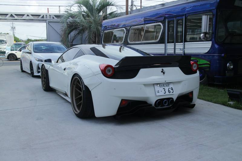 T0102012,With a shattered jaw this puppy still begged for help 💔 #puppyrescue #animalabuse
 - Image 2