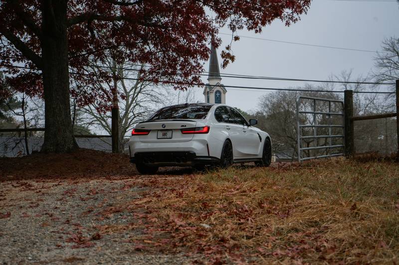 T0102013,Maggots covered his body yet his heart kept beating 💔 #dogrescue #animalcruelty - Image 3