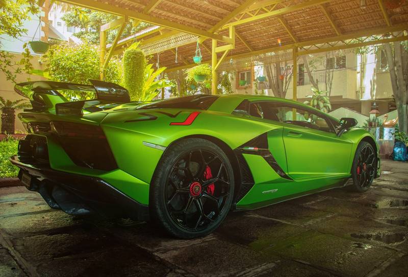 T0102014,Clinging to life this puppy struggled in the water 💔 #puppyrescue #animalhero
 - Image 4