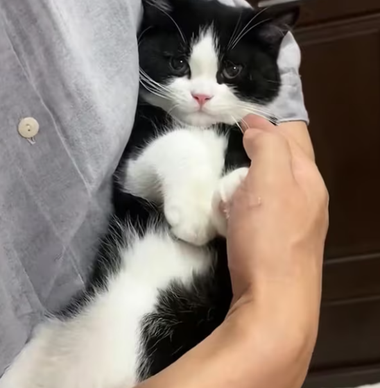 T0301037 He waited… because running hurt too much.