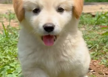 T0301039 One more night felt like a lifetime.