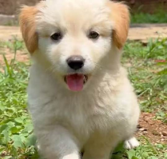 T0301039 One more night felt like a lifetime.