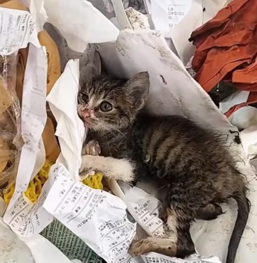 T0301032 Every second felt heavier than the last.