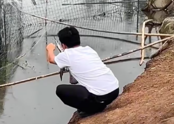 T0901013 Every sound made her flinch. Survival was all she knew.