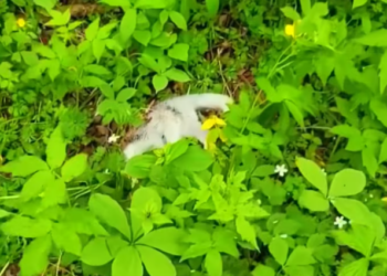 T0901027 Each second felt heavier than the last.