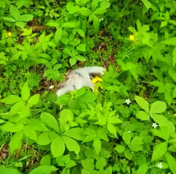 T0901027 Each second felt heavier than the last.