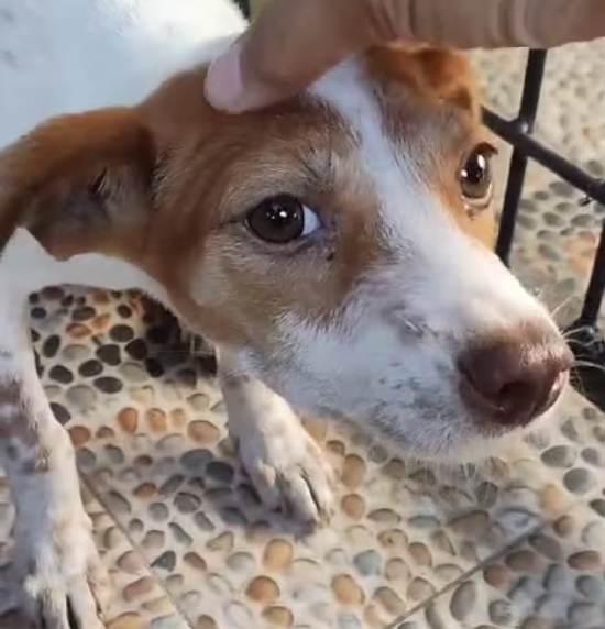 T0901001 He didn’t cry for attention… he cried to survive. What happened before this moment?