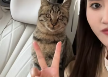 T0901004 Too weak to stand, too scared to sleep. His eyes say everything.