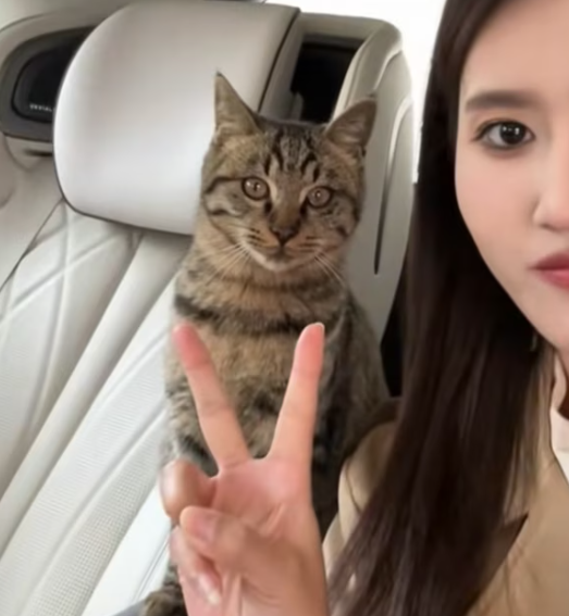 T0901004 Too weak to stand, too scared to sleep. His eyes say everything.