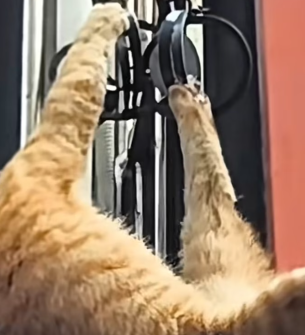 T0901007 Rain fell harder, and hope felt thinner. How did he end up here?