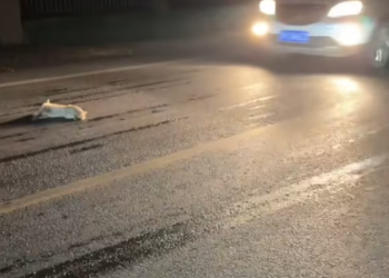 T0301006 No home. No food. Just fear.