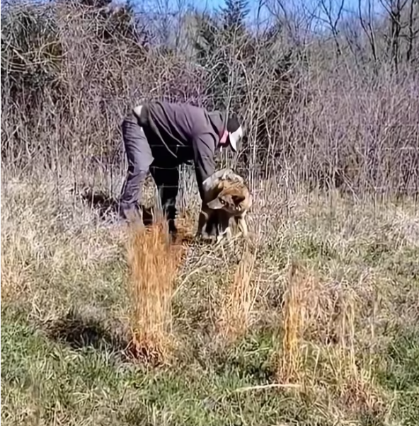 T0901014 She waited… hoping footsteps would stop for her.