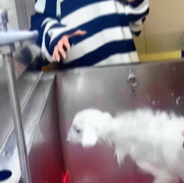 T0901017 Her eyes searched for kindness that never came.