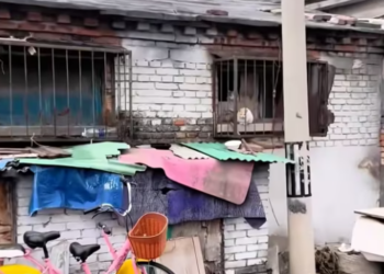 T0301007 His eyes asked a question no one answered.