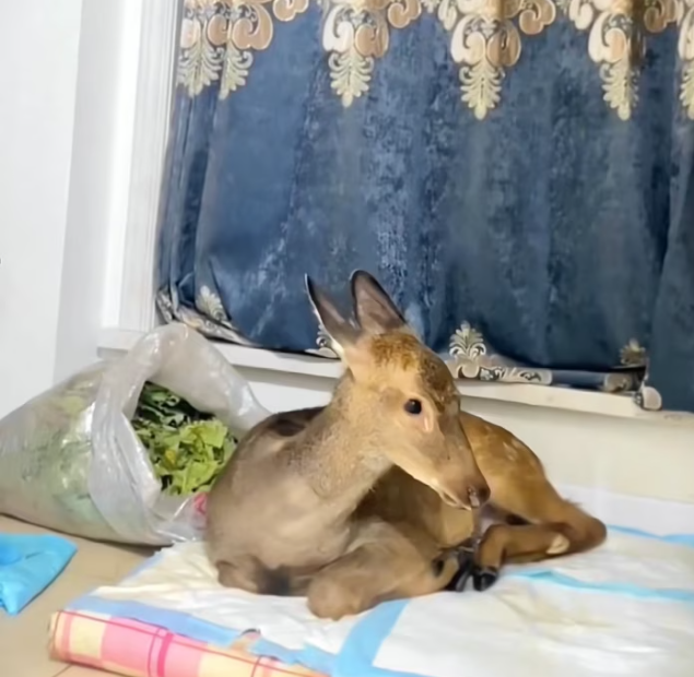 T0901022 One wrong step, and everything could be over.