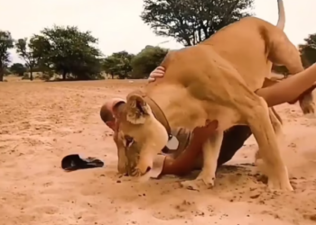 T0901024 His body trembled, but his eyes stayed wide open.