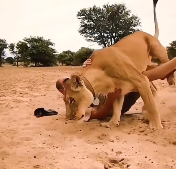 T0901024 His body trembled, but his eyes stayed wide open.