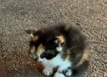 T0901028 The world moved fast while he couldn’t move at all.