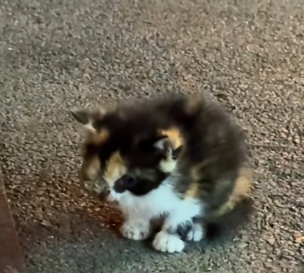 T0901028 The world moved fast while he couldn’t move at all.