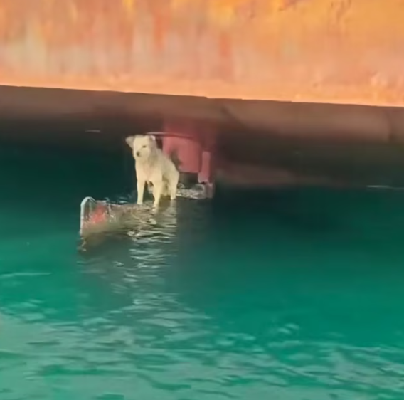 T0901031 Trapped, shaking, and crying softly into the dark.