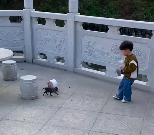 T0901032 Cold water below, fear above, nowhere to go.