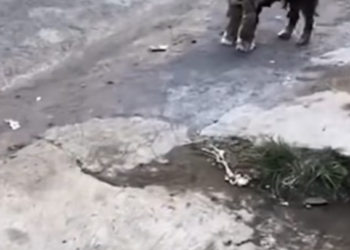 T0901034 His cries echoed, hoping someone would hear.