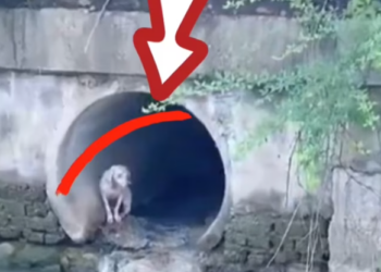 T0901038 This place was never meant for him.