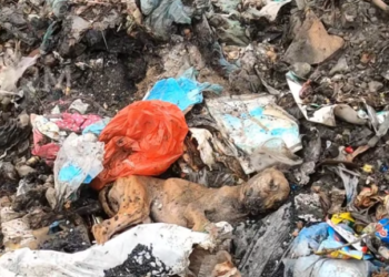 T1301003 Cold ground, dark night, and a heart full of fear.