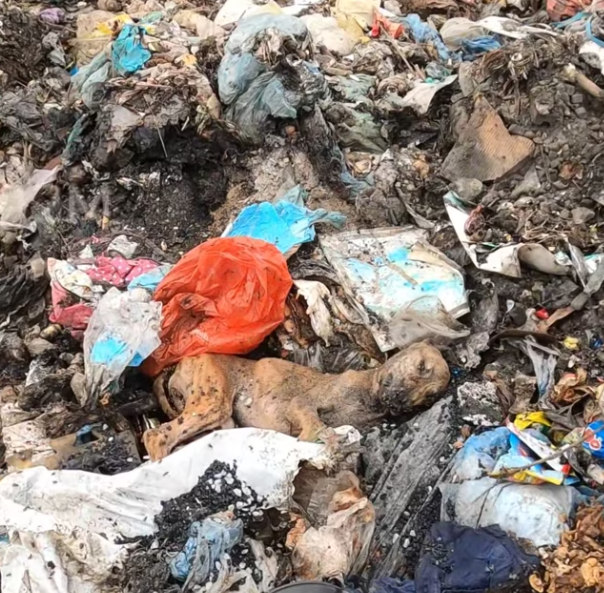 T1301003 Cold ground, dark night, and a heart full of fear.