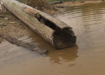 T1301004 Weak breaths, tired eyes, and a fragile hope still alive.