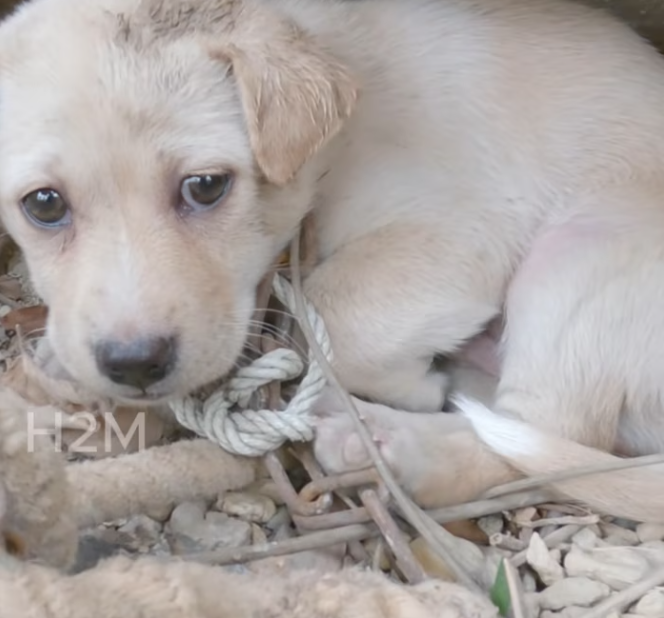 T1301008 Every breath feels heavy, every second feels endless.