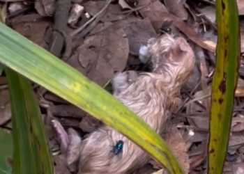 T1301013 Lost, hurt, and unsure if morning would come.