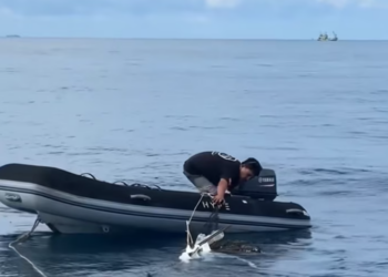 T1301014 Lying still, hoping danger would pass by.