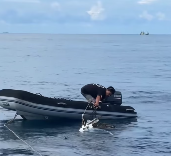 T1301014 Lying still, hoping danger would pass by.