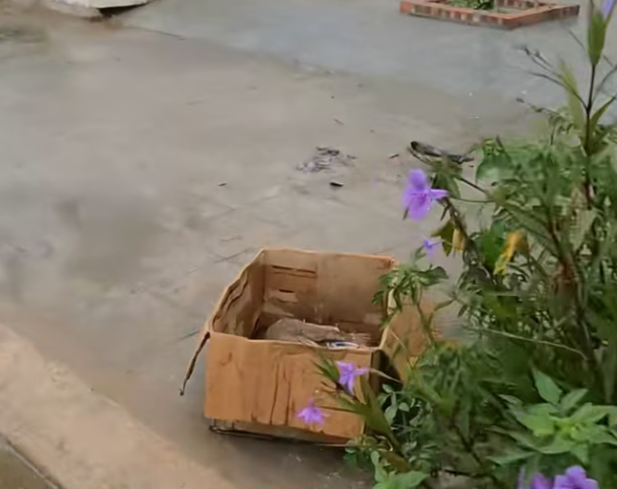 T1301017 Weak movements, slow breathing, silent suffering.