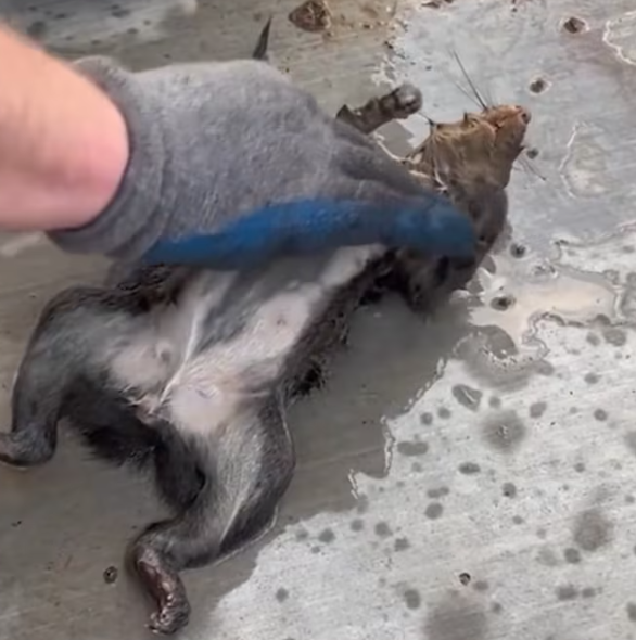 T1301019 The eyes tell a story words never could.