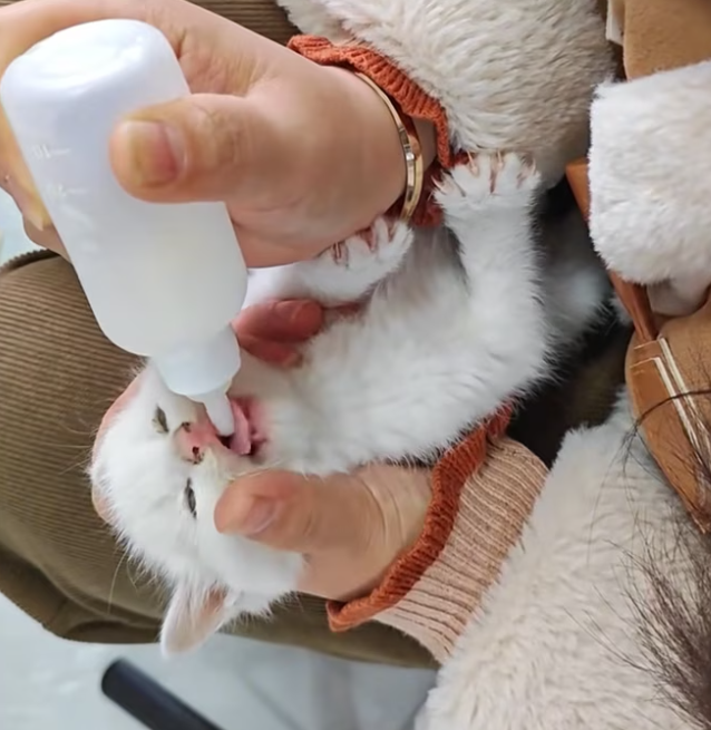 T1301022 The world felt too big for such a small life.