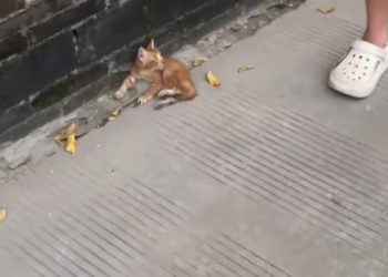 T1301024 No one around, only the sound of their own breath.